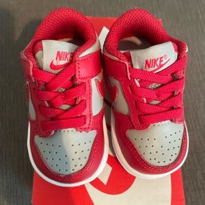 Toddler Nike Dunk Low